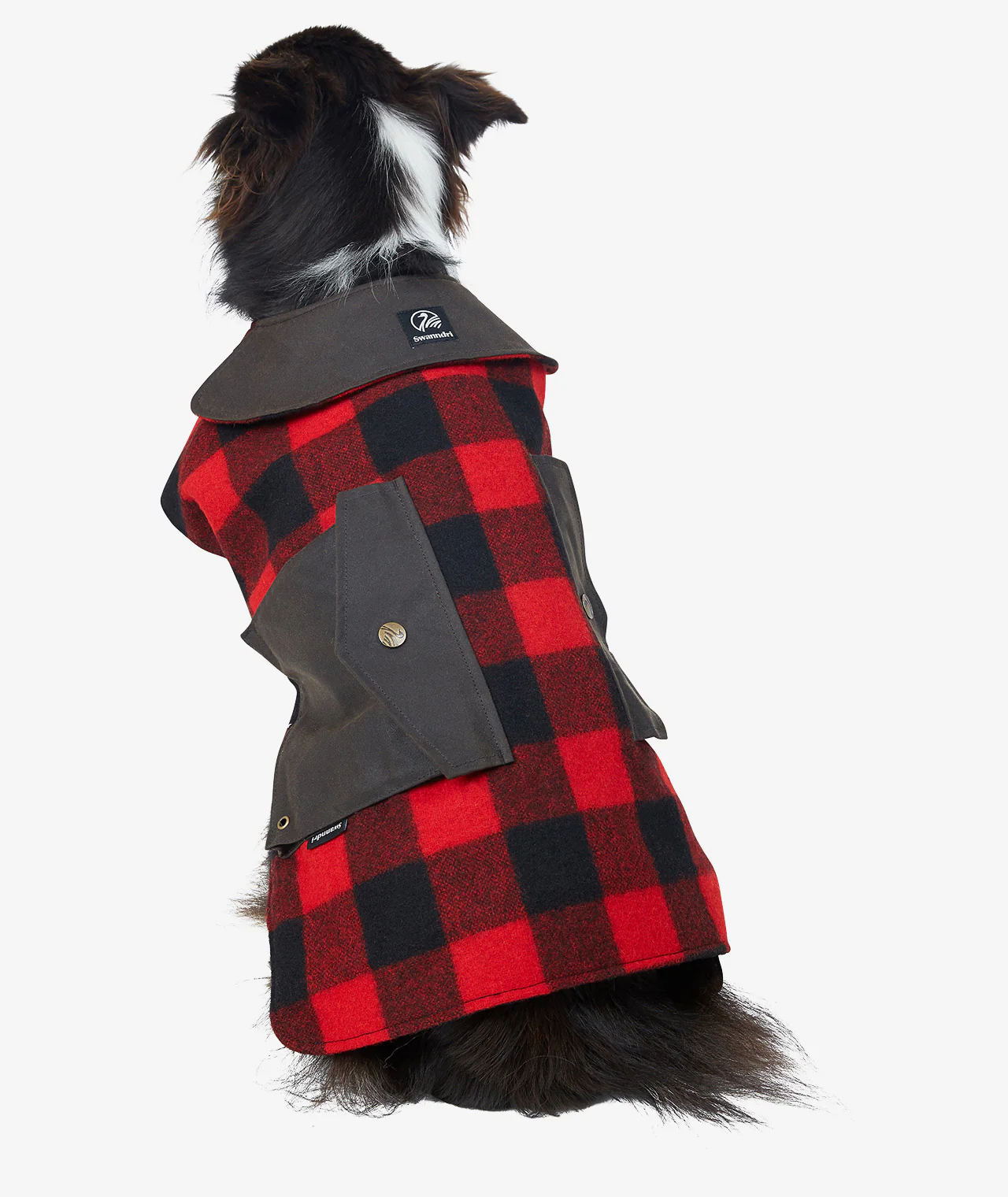 Classic Wool Dog Coat - Image 3