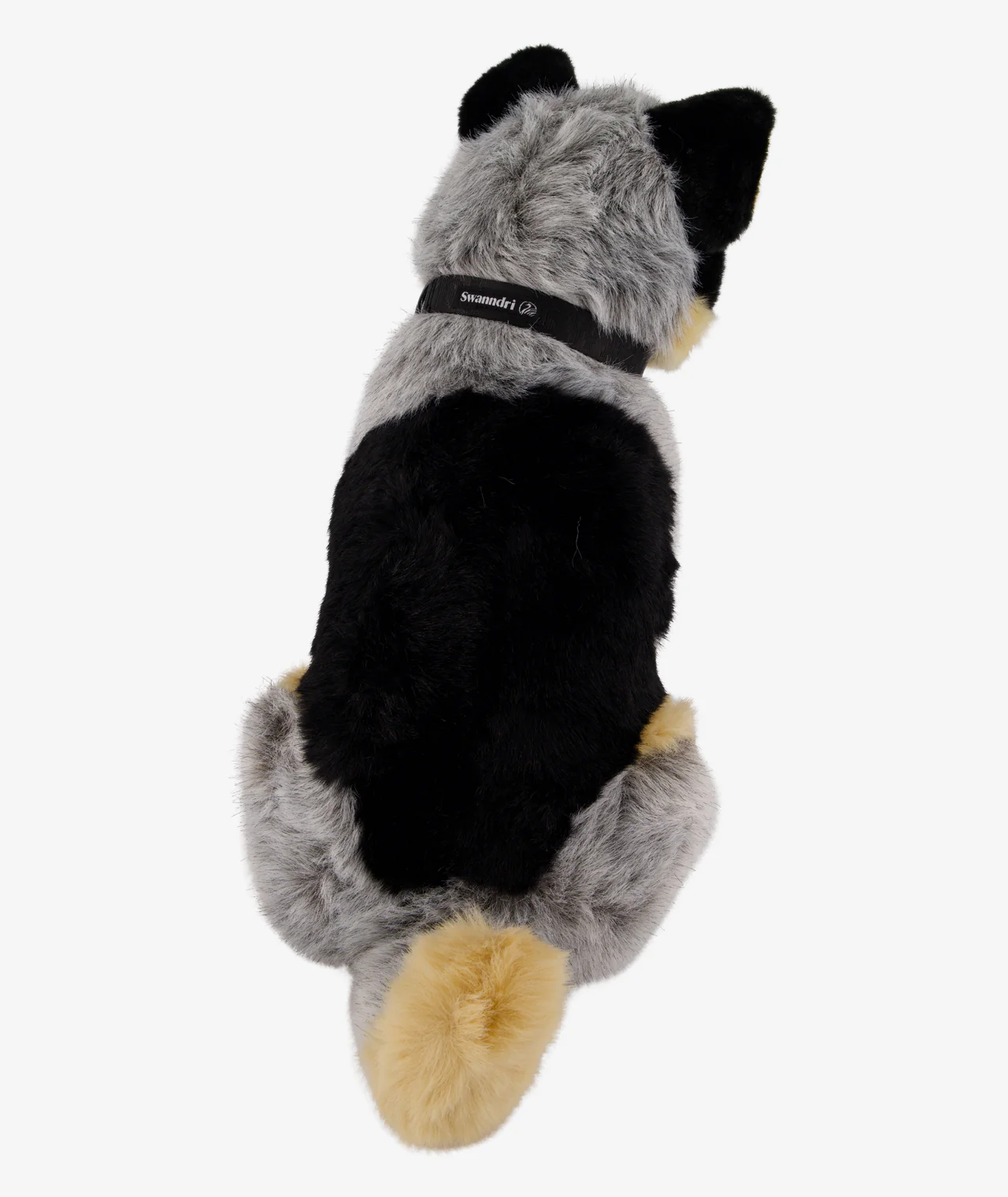 Dog Boss Dog Collar - Image 3