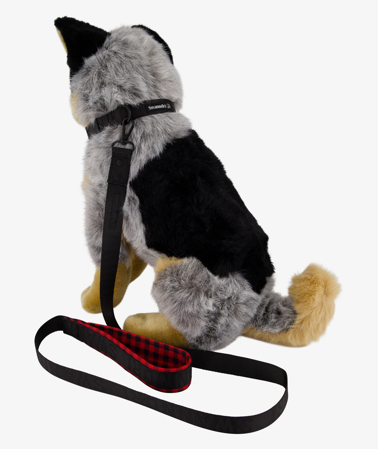 Dog Boss Dog Collar - Image 4