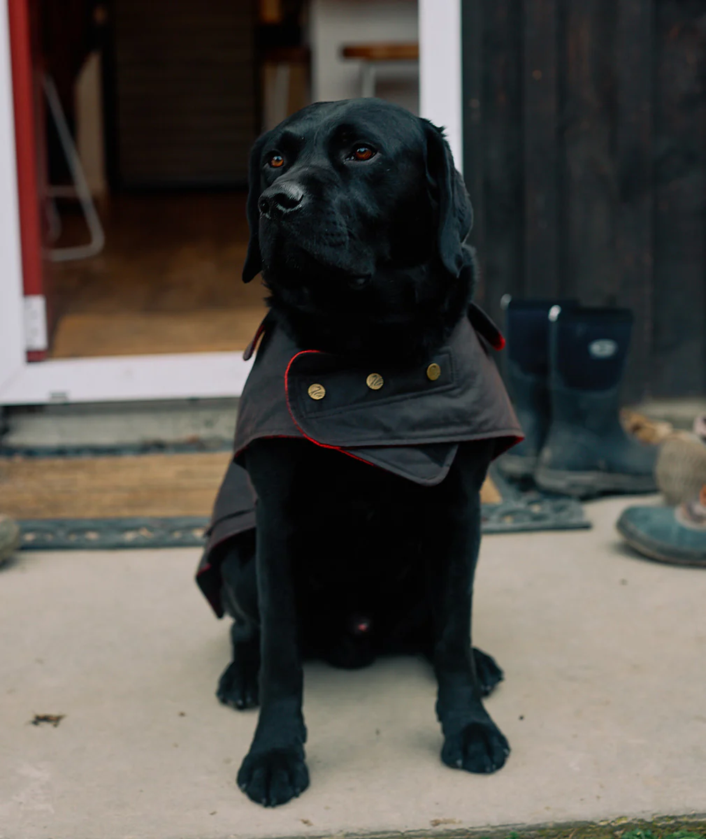 Hunter Oilskin Dog Coat - Image 9